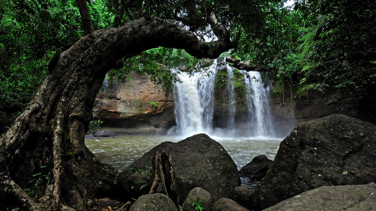 Khao Yai National Park: A Verdant Oasis in the Heart of Thailand