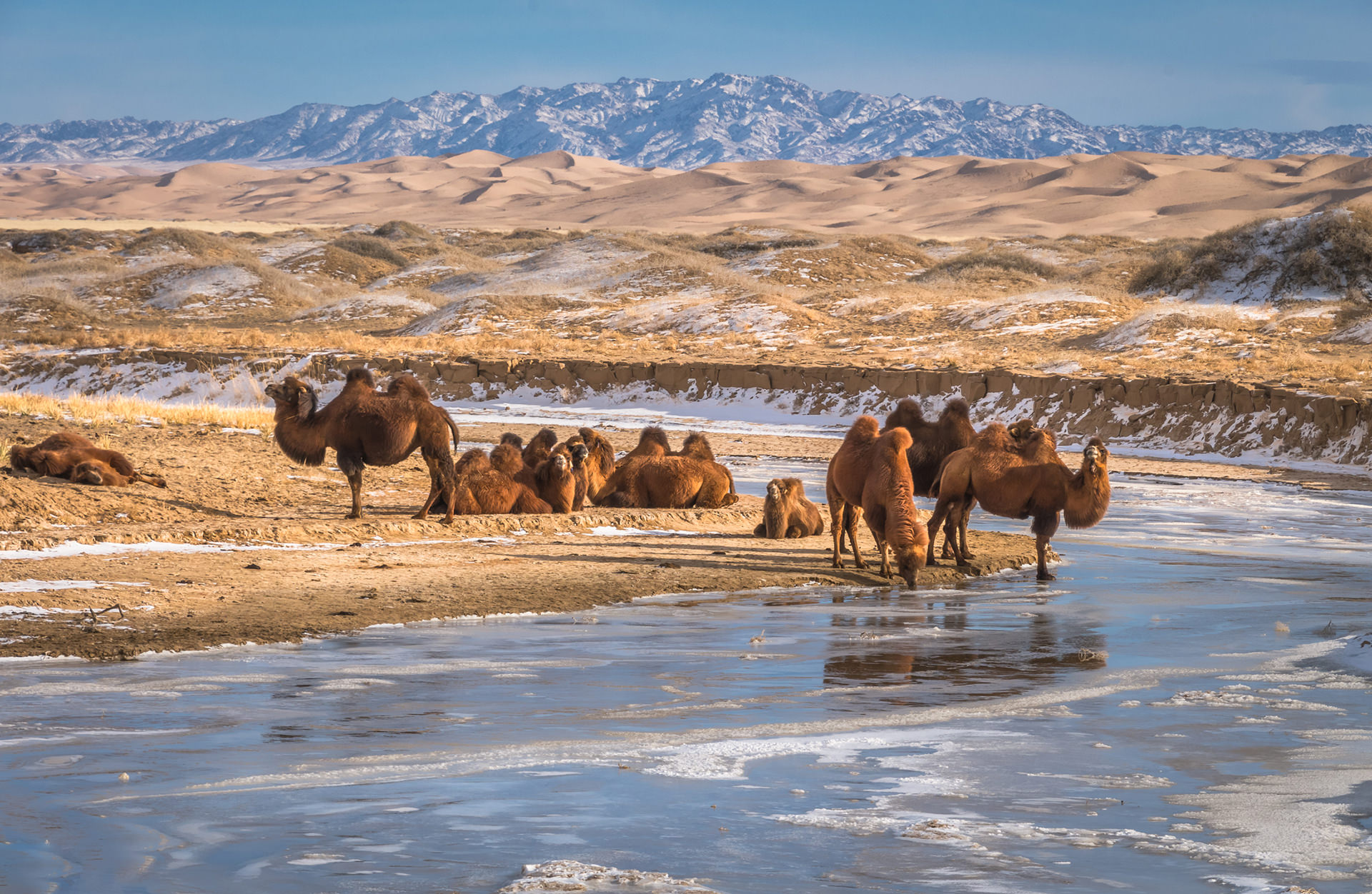The Gobi Desert: A Journey into China's Vast and Arid Wonderland