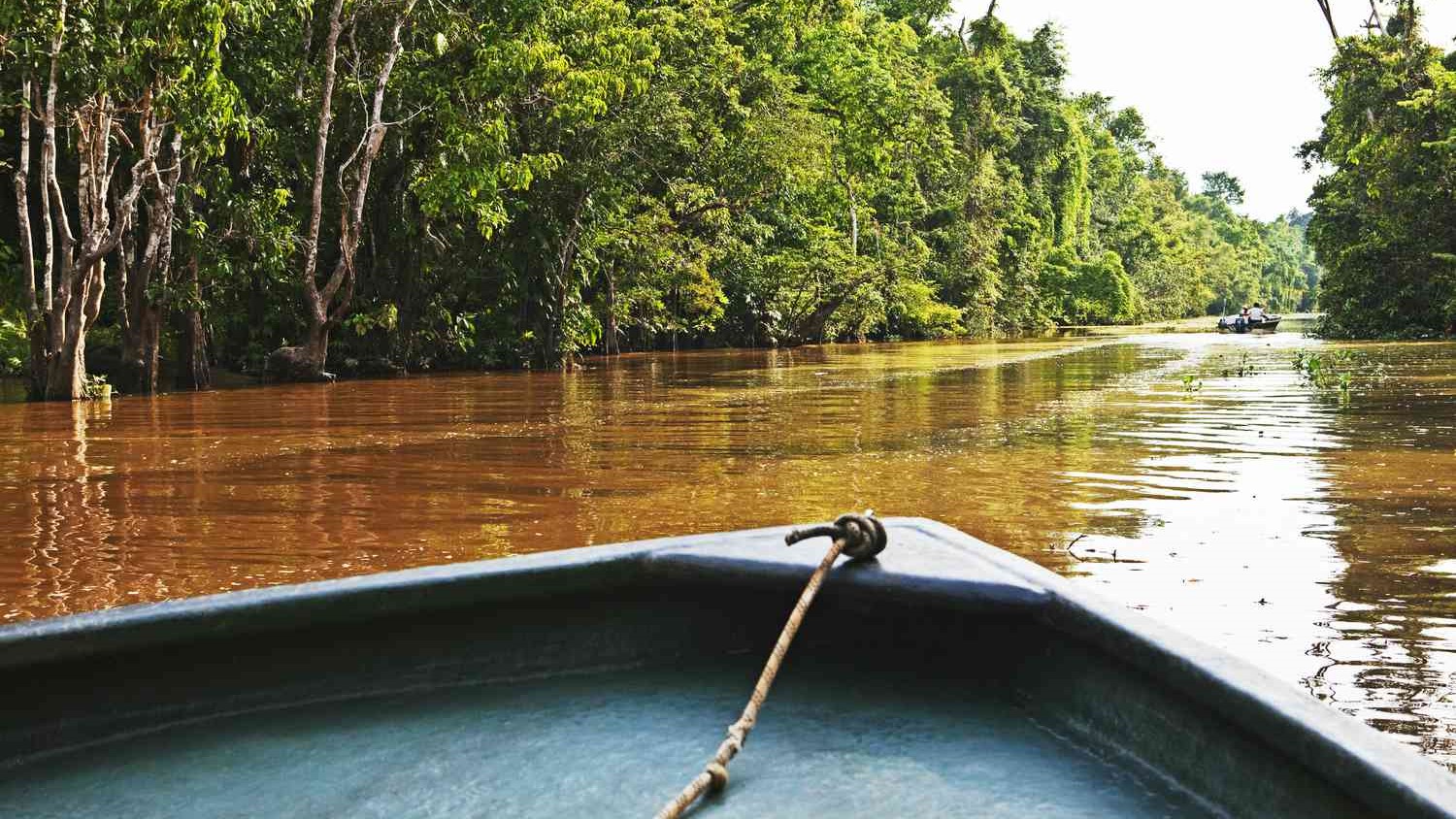 The Majestic Kinabatangan River of Borneo