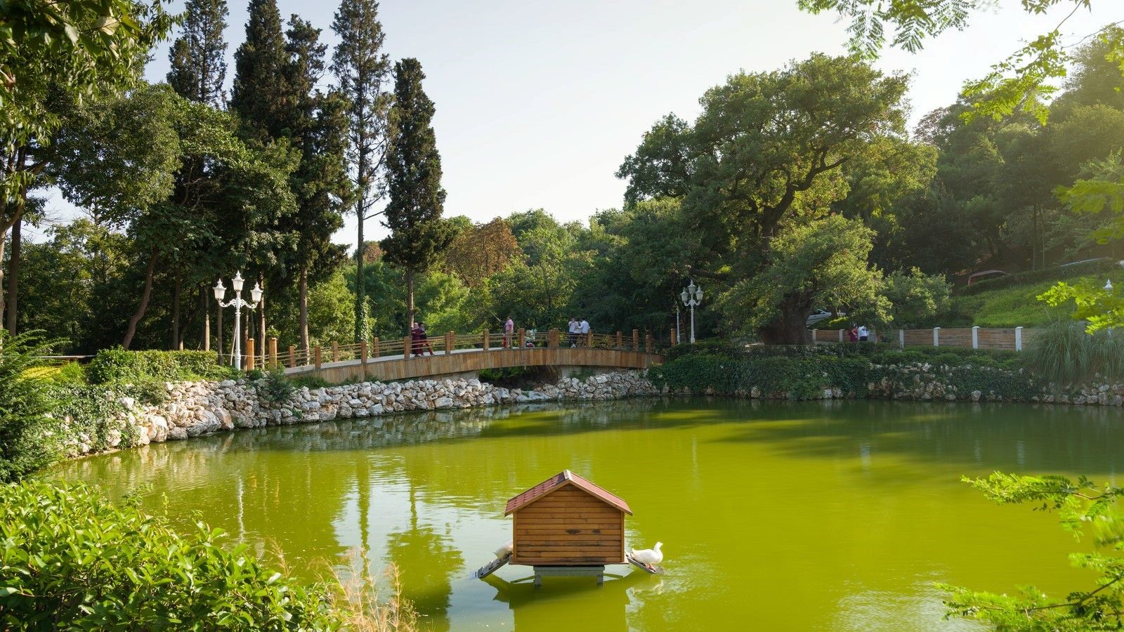 Yildiz Park: Istanbul's Imperial Sanctuary