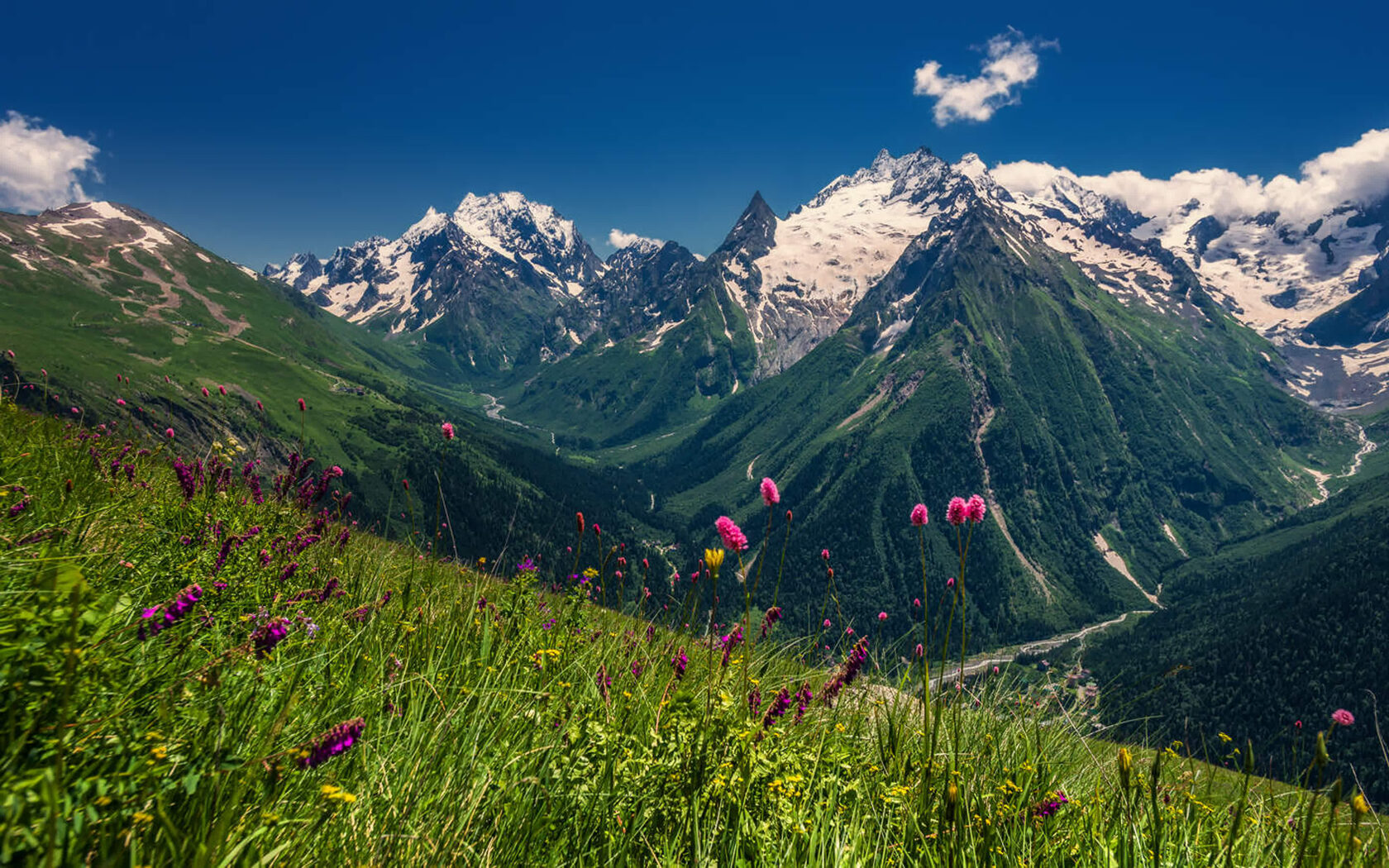 Caucasus Mountains of Georgia