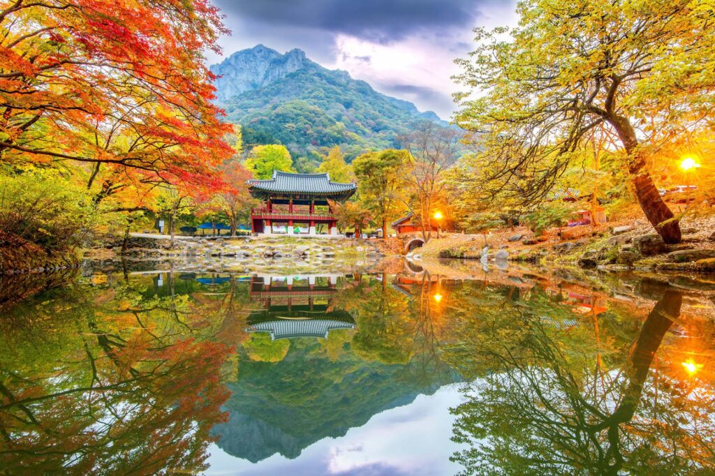 Korea National Park: South Korea's Natural Treasure