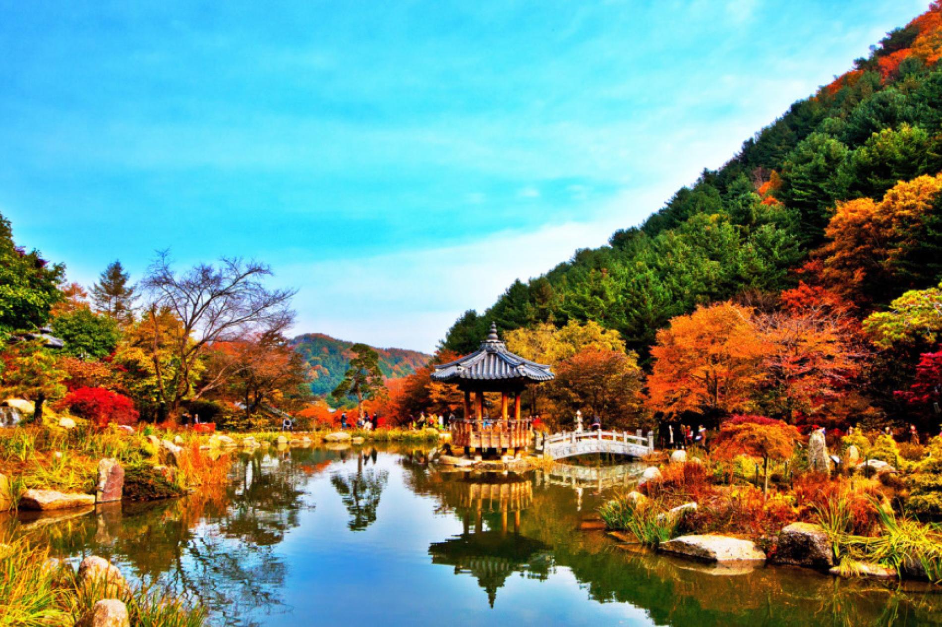 Nami Island: A Whimsical Wonderland in the Heart of South Korea